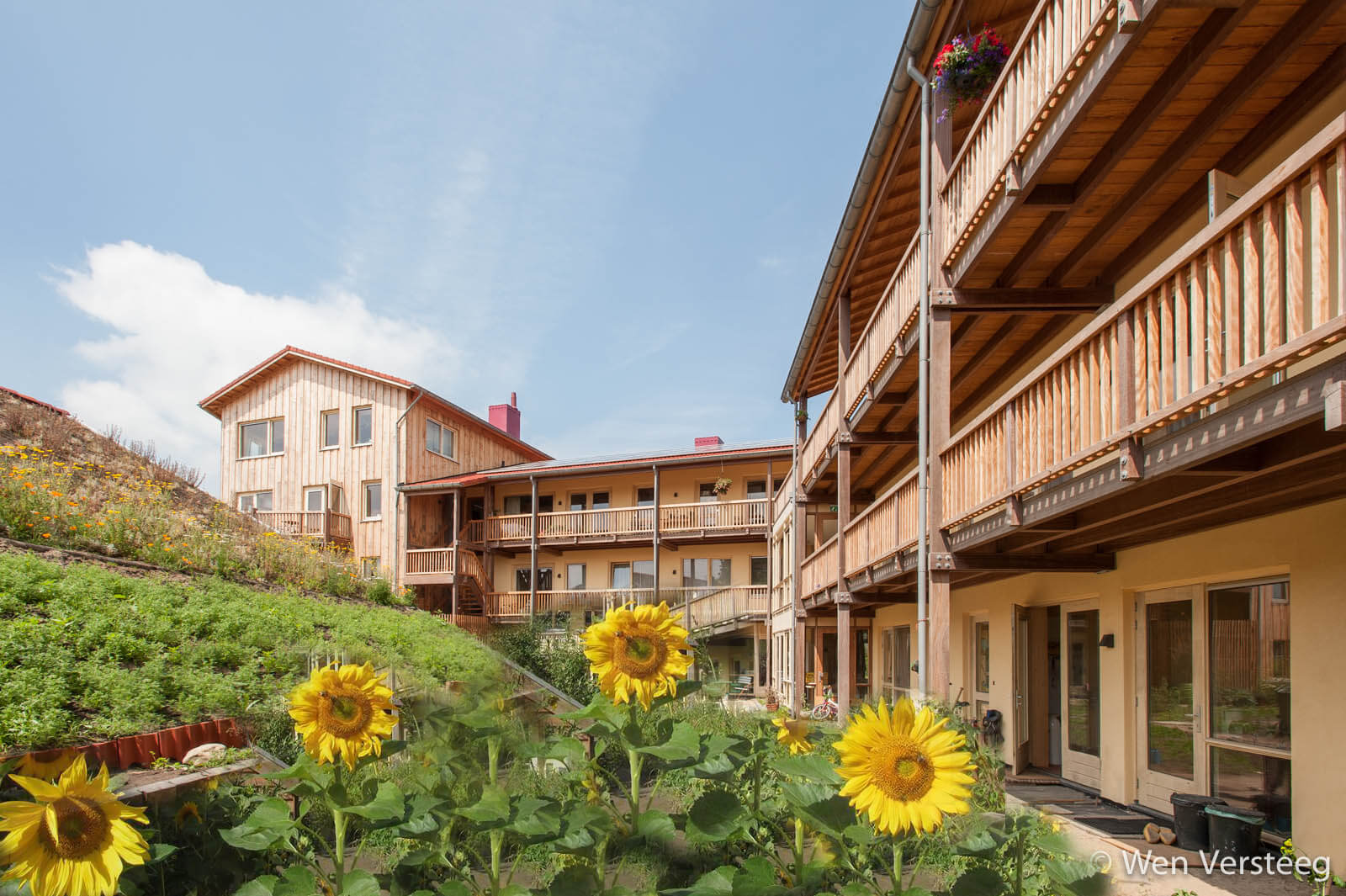 collectief strobouw woning iewan lent