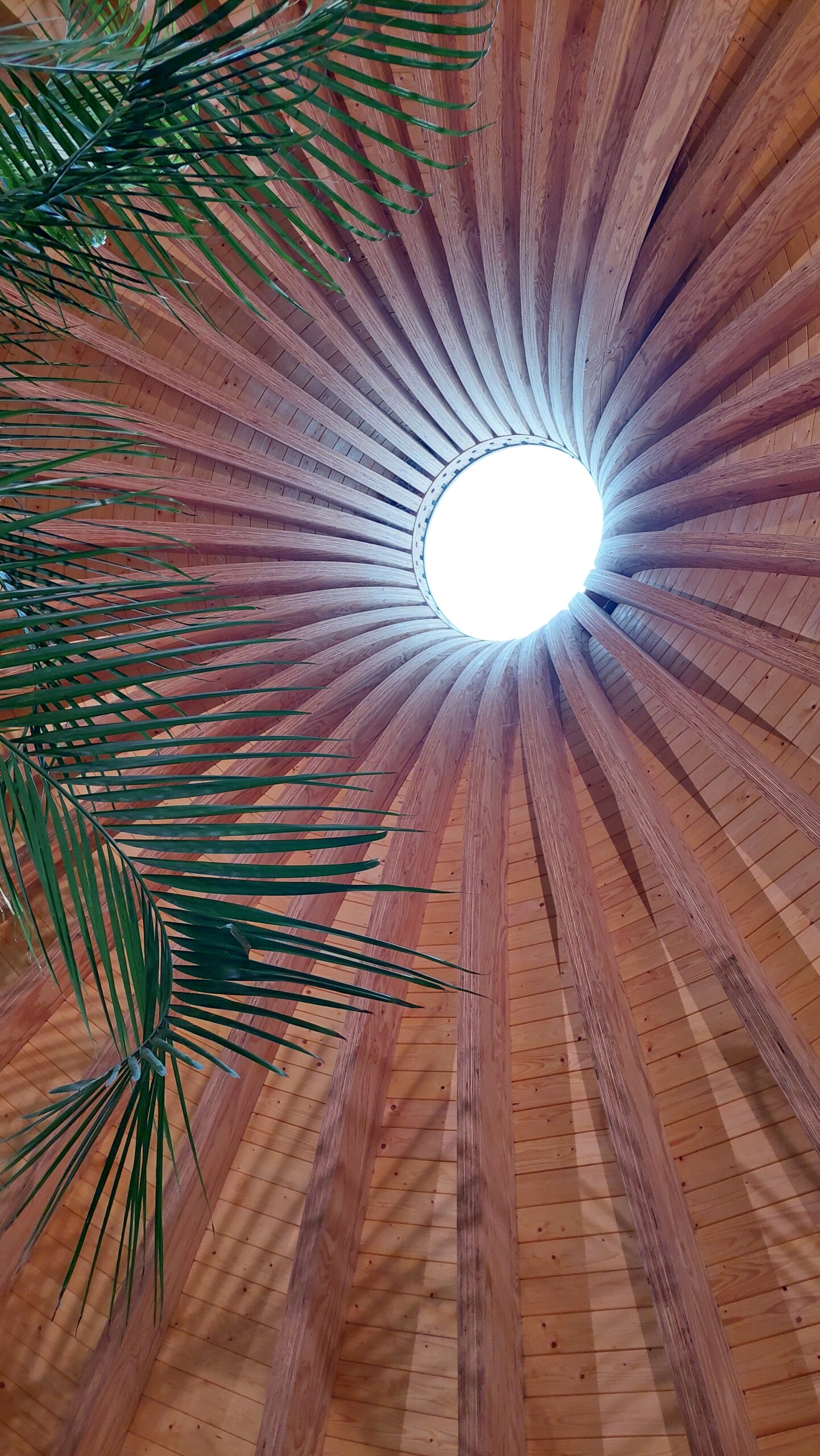 Lichtkoepel in ronde woning met boom geplant in echte aarde onderbreking van isolatieschil