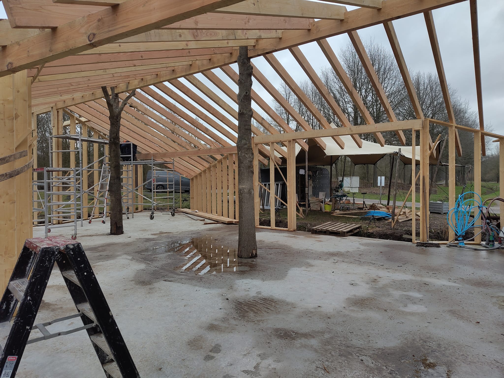 Ontvangstgebouw op Landgoed Energy Up met houten dakconstructie en bestaande boom geïntegreerd in de ruimte als voorbeeld van organische architectuur