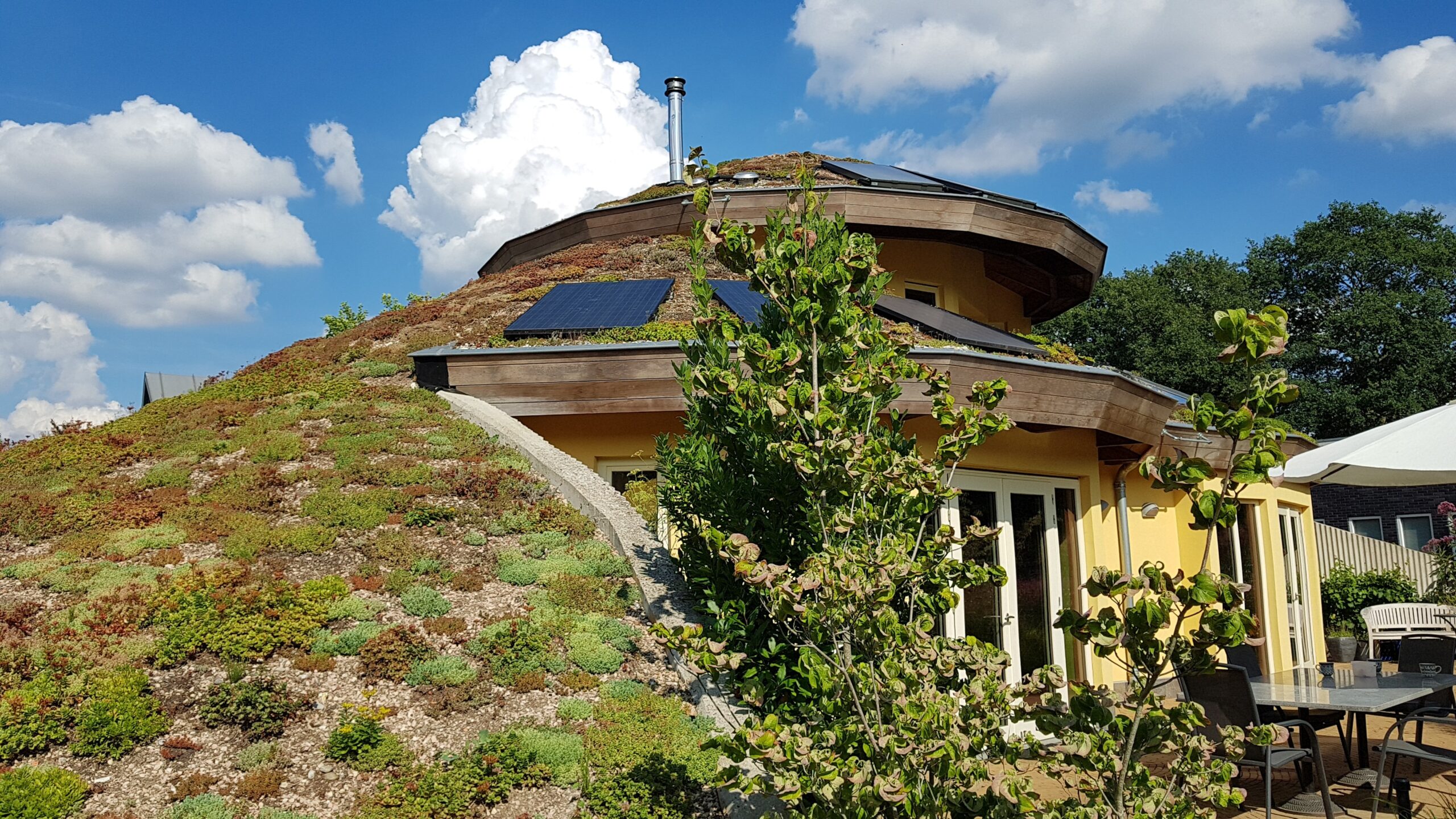 Organische aardewoning met groen dak
