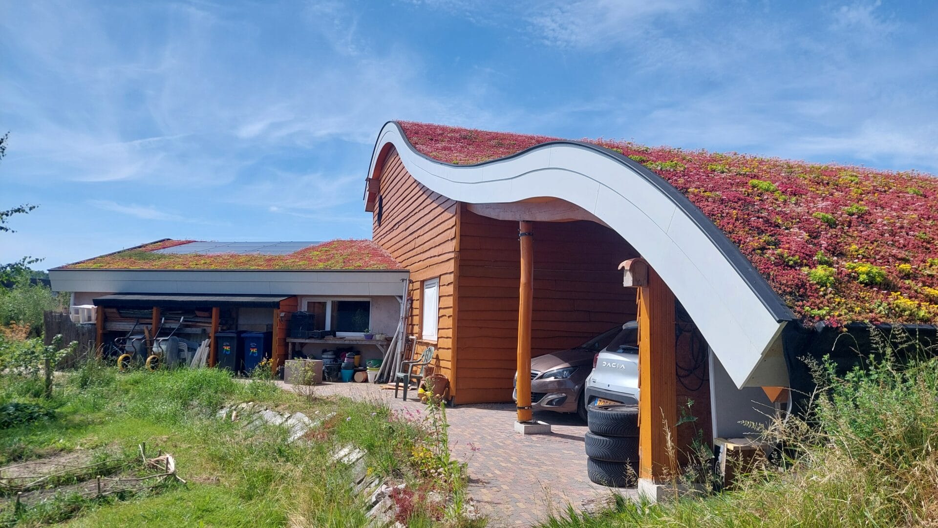 Organisch gebouw met golvend sedumdak in bloei en overkapte carport — ORIO architecten